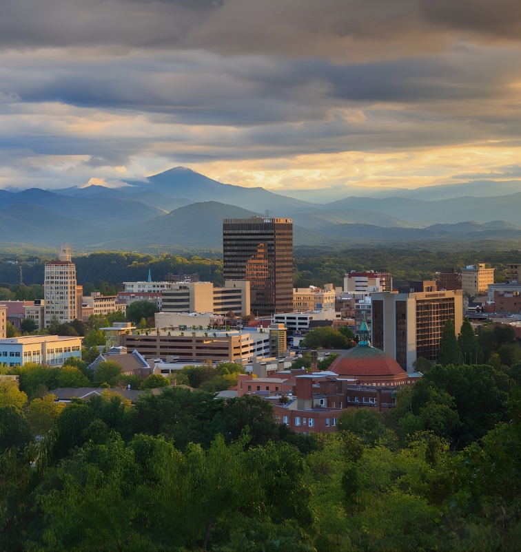 Custom handcrafted wood door by Old Wood Dynasty serving Buncombe County NC