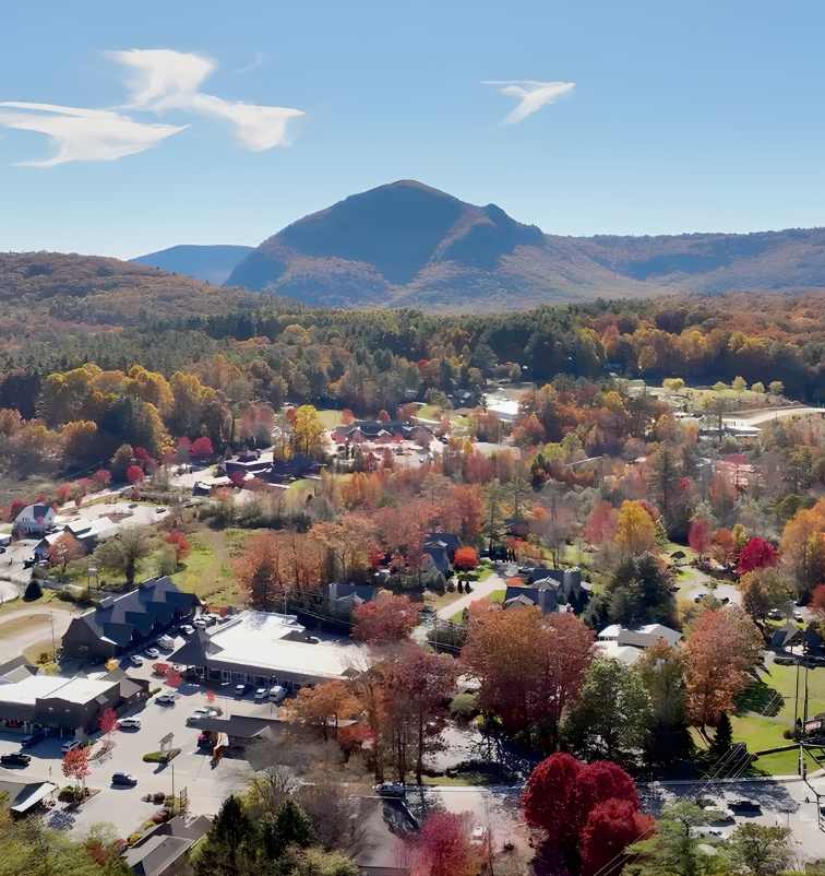 Custom handcrafted wooden garage door by Old Wood Dynasty for Cashiers NC mountain estate