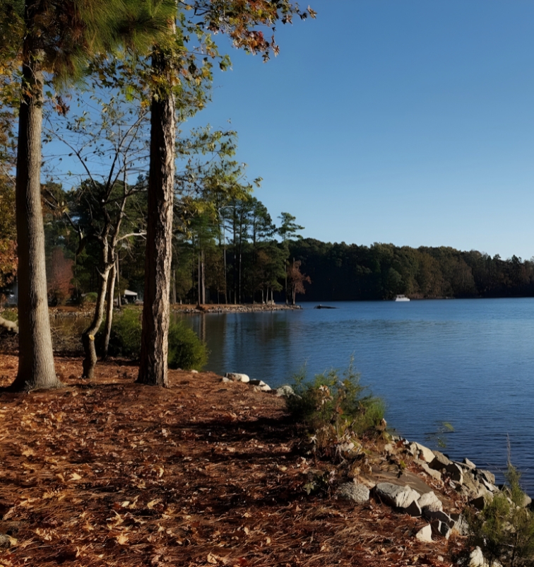Custom handcrafted wood door by Old Wood Dynasty serving Lake Murray SC