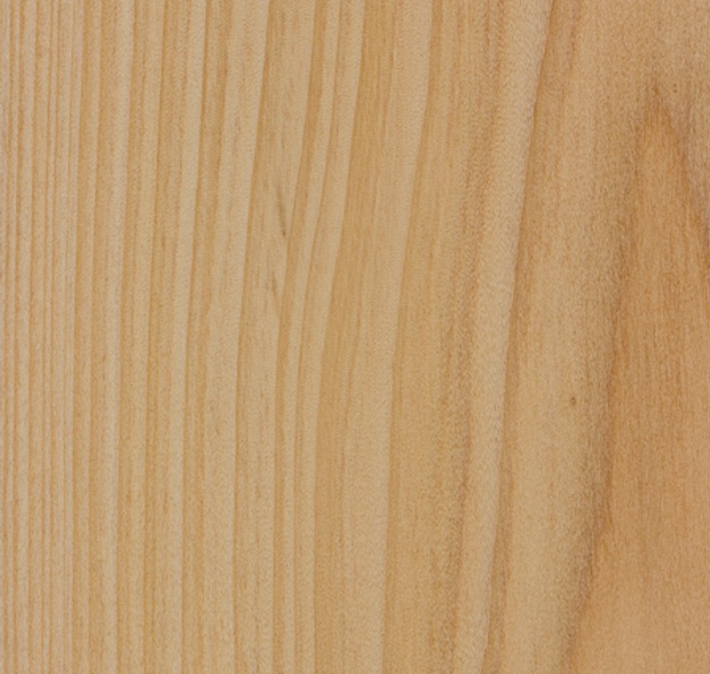 Cypress wood grain detail for South Carolina & North Carolina